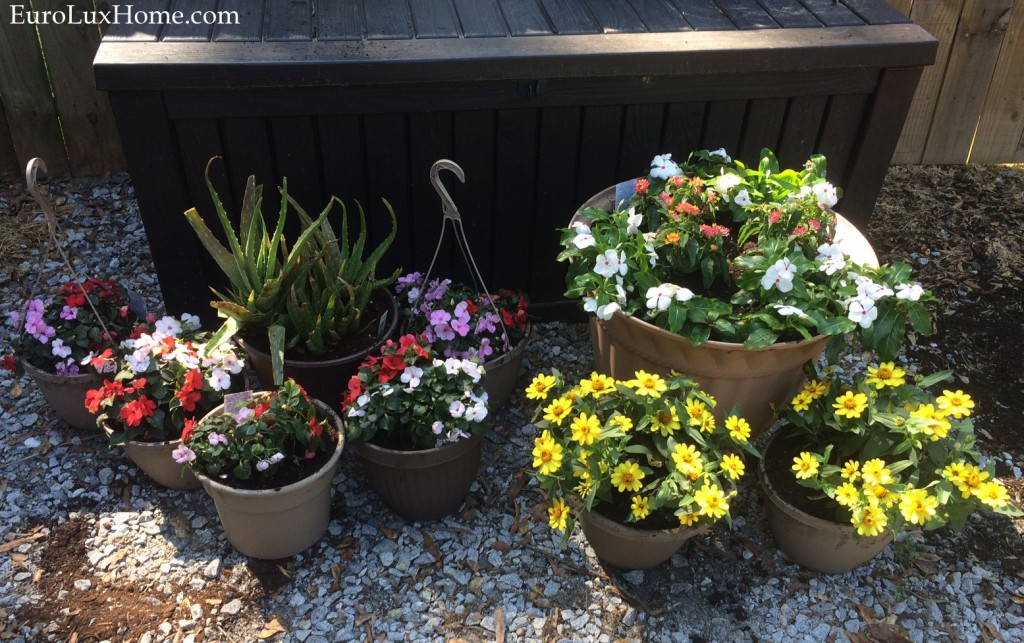 , Great Ways to Decorate the Garden with Flower Pots